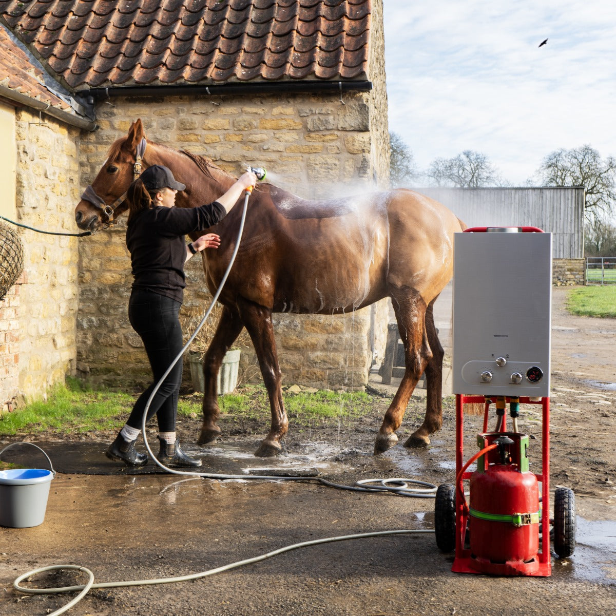 Tragbare Pferdedusche in Rot, 18L, wird verwendet, um ein braunes Pferd mit Wasser und Schaum zu reinigen, umgeben von einer ländlichen Kulisse