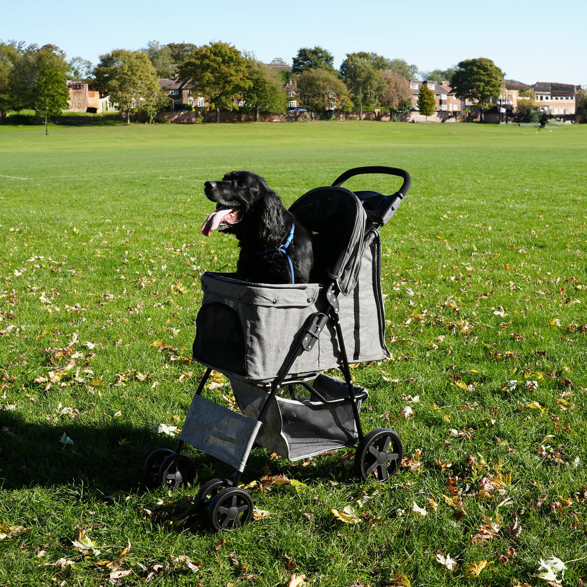 Haustierwagen in gewebtem Grau mit Regenabdeckung, ausgestattet mit großen Rädern, ideal für Spaziergänge im Park, mit einem glücklichen Hund darin