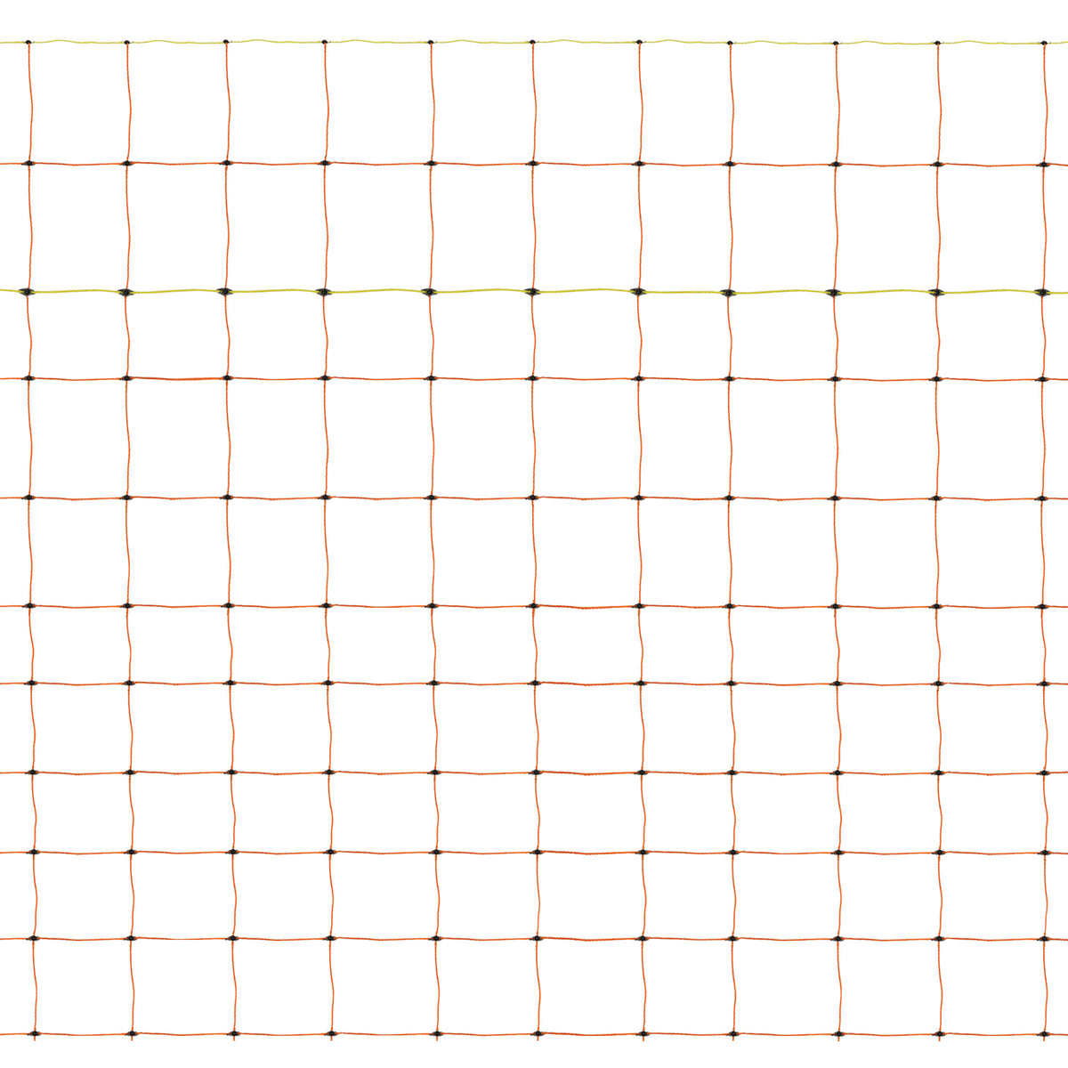 Elektrisches Geflügelnetz mit quadratischen Maschen in orange und grün, aus robustem Material, ideal für die sichere Abgrenzung von Geflügelgehegen
