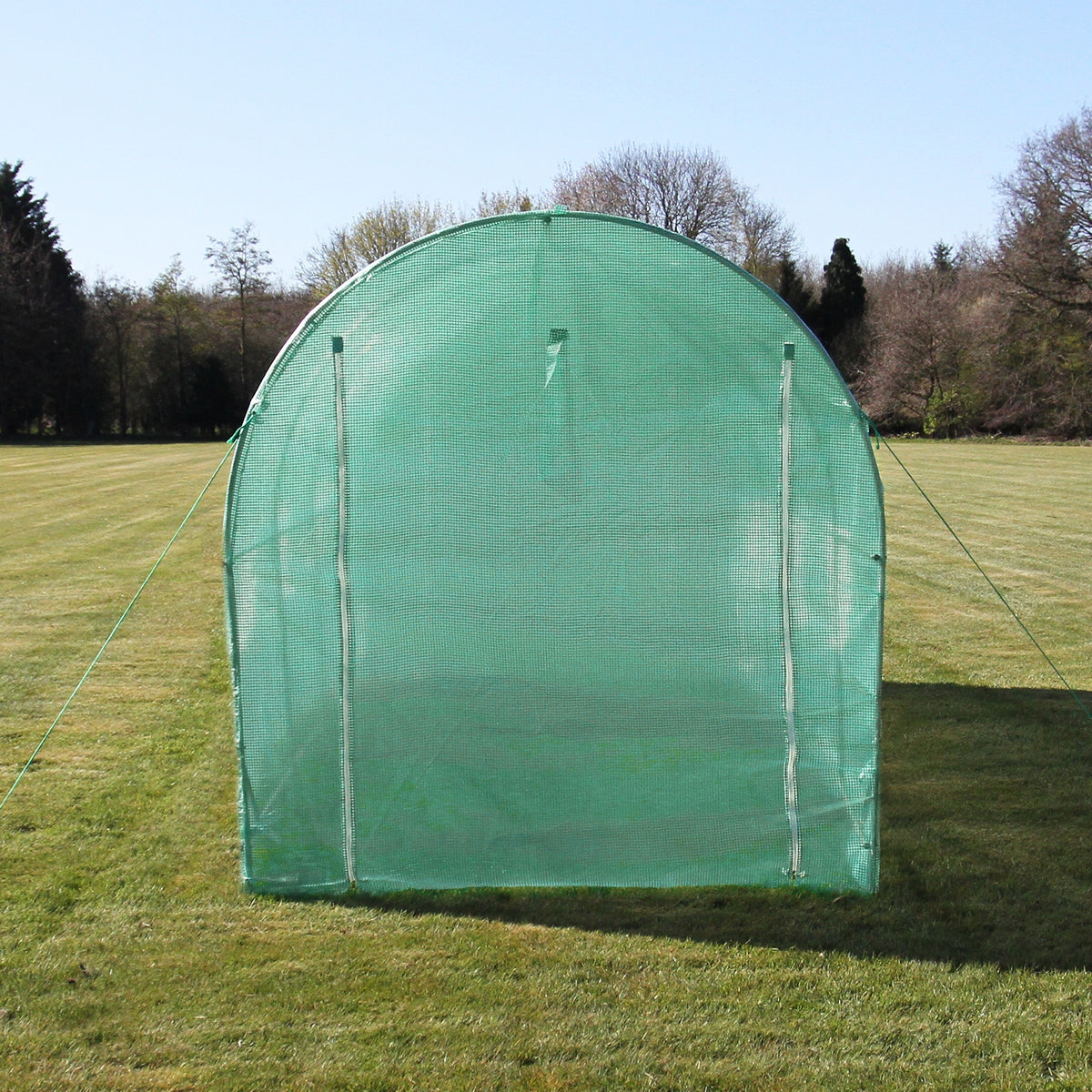 Grüner Polytunnel aus 19 mm starkem Material, 4m x 2m, mit gewölbtem Dach und stabilen Seiten, ideal für den Gartenanbau und Pflanzenpflege