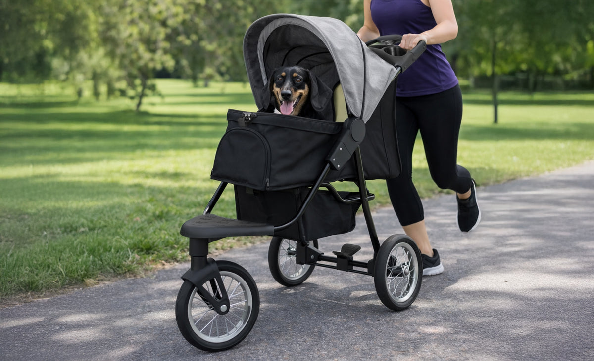 Eine sportliche Frau joggt mit einem schwarzen Hundewagen, der einen fröhlichen Hund mit grauem Dach und geräumigem Korb transportiert, umgeben von grünem Park