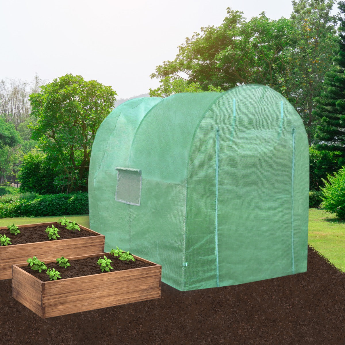 Transparenter Polytunnel aus 19mm dickem Material, 3m x 2m, mit Fenster, umgeben von Hochbeeten mit grünen Pflanzen und üppiger Vegetation