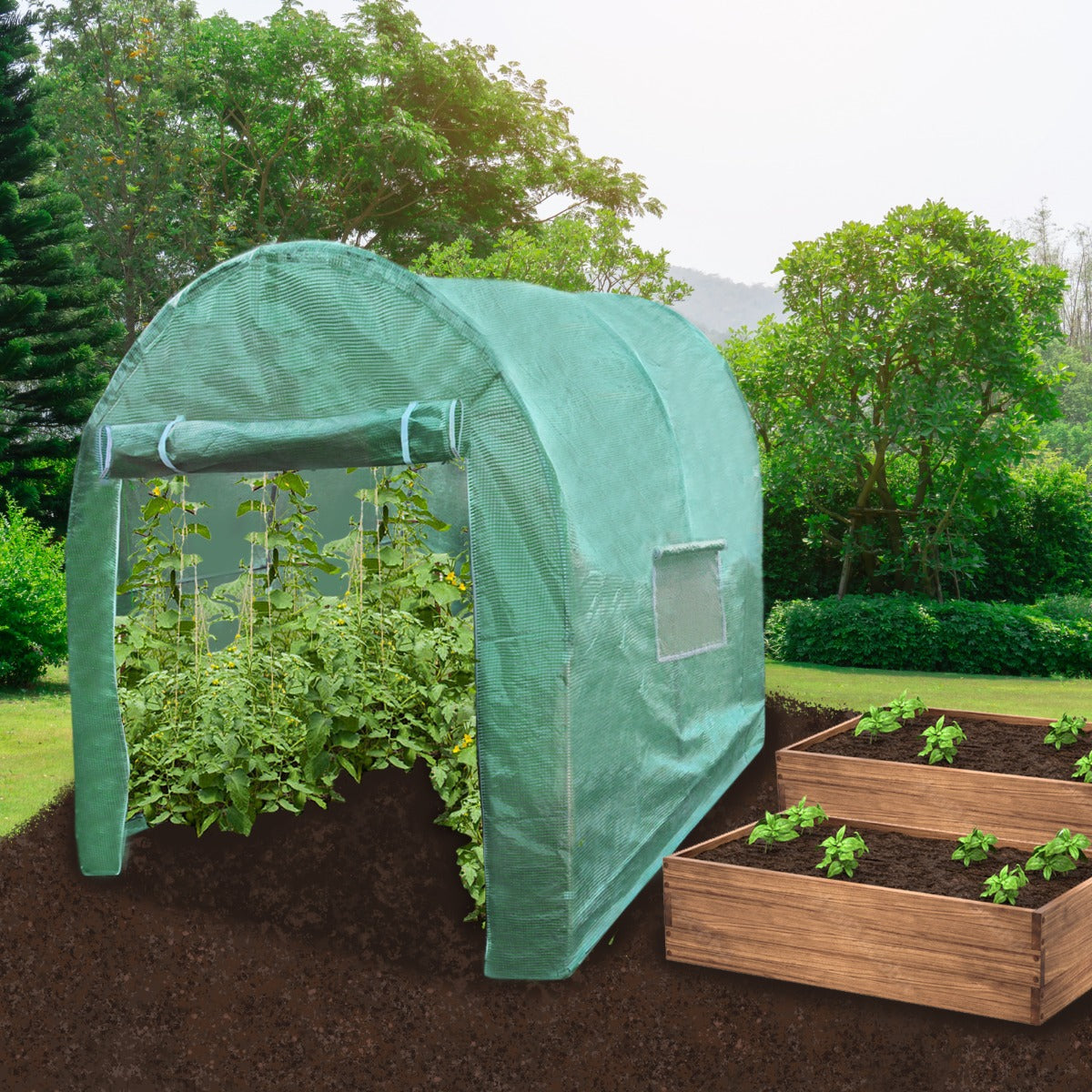 Grüner Polytunnel aus 19mm starkem Material, 3m x 2m, mit Pflanzen im Inneren und angrenzendem Hochbeet aus Holz im Gartenumfeld
