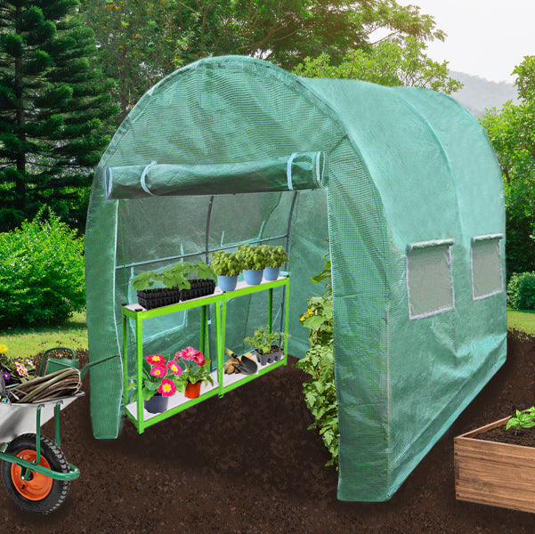 Grüner Polytunnel 3m x 2m mit transparenten Fenstern, ausgestattet mit Regalen für Pflanzen und Blumen, ideal für Gartenarbeit und Anbau