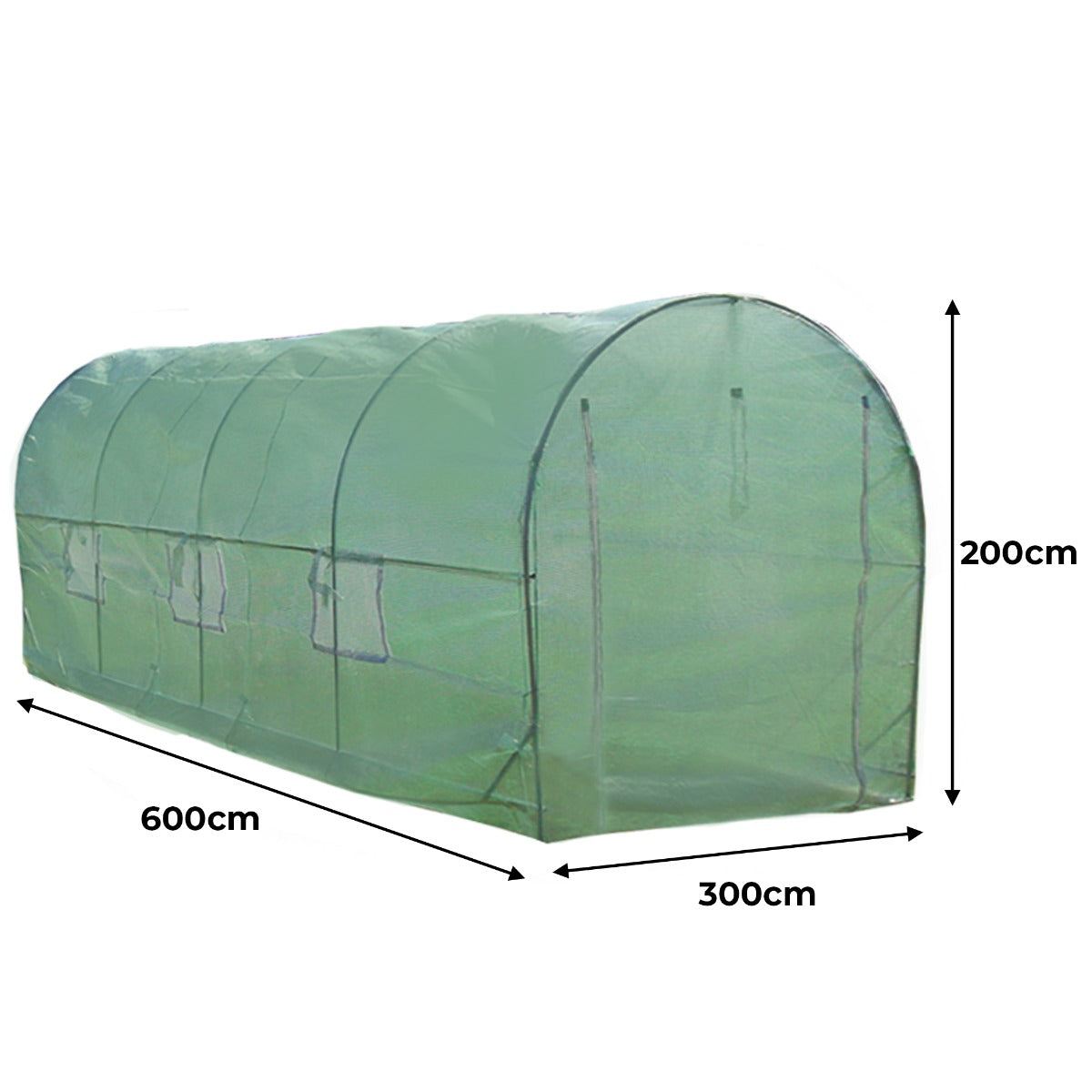 Polytunnel in grün mit 25mm Rahmen, 6m lang und 3m breit, ausgestattet mit Regalen für Pflanzen, ideal für Gartenliebhaber und Anbau