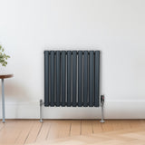 Ovaler Röhrenheizkörper in Anthrazitgrau, 600mm x 600mm, mit Chrom-Thermostatventilen, an einer hellen Wand, auf einem Holzfußboden platziert