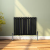 Schwarzer ovaler Röhrenheizkörper mit Chrom-Thermostatventilen, elegant an einer hellgrünen Wand montiert, auf einem warmen Holzboden