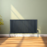 Ovaler Röhrenheizkörper in Anthrazitgrau, 600mm x 1200mm, mit glänzenden Chrom-Thermostatventilen, elegant und modern, vor einem hellgrünen Wandhintergrund