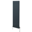 Ovaler Röhrenheizkörper in Anthrazitgrau, 1800mm x 480mm, mit vertikalen Lamellen und Chrom-Thermostatventilen, modern und elegant gestaltet