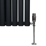 Schwarzer ovaler Röhrenheizkörper mit glänzendem Chrom-Thermostatventil, 1800mm x 600mm, moderne Form und glatte, matte Oberfläche