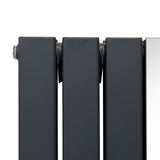 Anthrazitgrauer Heizkörper mit glattem Finish und Chrom-Thermostatventilen, elegant und modern, ideal für stilvolle Innenräume