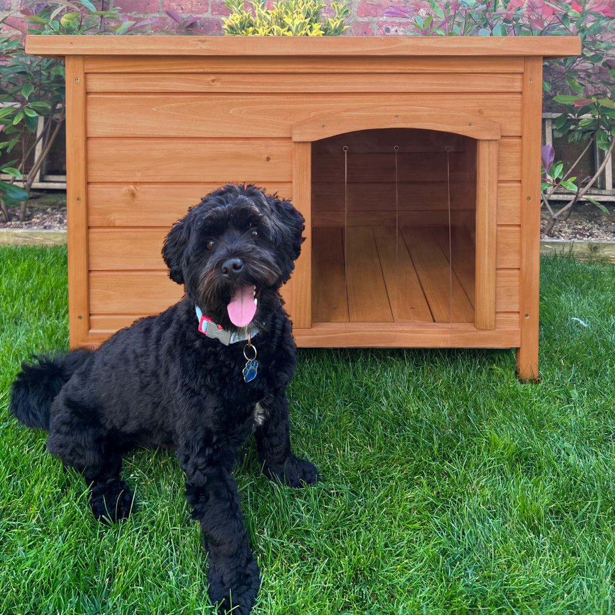 Kleine Hundehütte aus hellem Holz mit einem offenen Eingang, umgeben von grünem Gras und einem schwarzen Hund, der entspannt davor sitzt