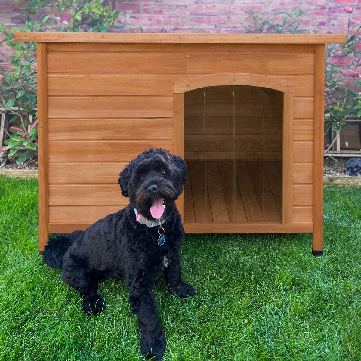 Helle Holz-Hundehütte in Mittelgröße mit einer offenen Tür, umgeben von grünem Gras, während ein schwarzer Hund davor sitzt und freundlich schaut