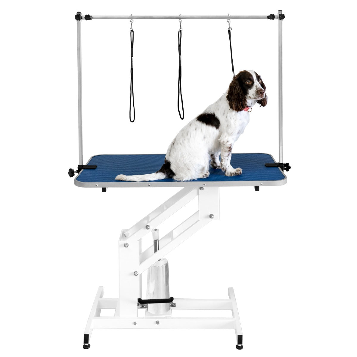Hydraulischer Pflegetisch in Weiß mit blauer Tischplatte, ausgestattet mit einem Halterungssystem für Hunde, ideal für die Tierpflege
