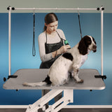 Hydraulischer Pflegetisch in Weiß mit grauer Tischplatte, ausgestattet mit Halterungen für Hunde, ideal für die professionelle Tierpflege