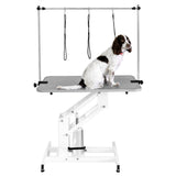 Hydraulischer Pflegetisch in Weiß mit grauer Tischplatte, ausgestattet mit Halterungen und einem sitzenden Hund, ideal für die Tierpflege