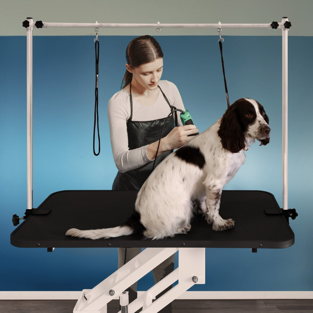 Hydraulischer Pflegetisch in Weiß mit schwarzer Tischplatte, ausgestattet mit Halterungen für Hunde, ideal für die professionelle Tierpflege