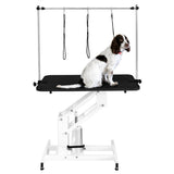 Hydraulischer Pflegetisch in Weiß mit schwarzer Tischplatte, ausgestattet mit einem Haltegestell und einem Hund auf der Oberfläche