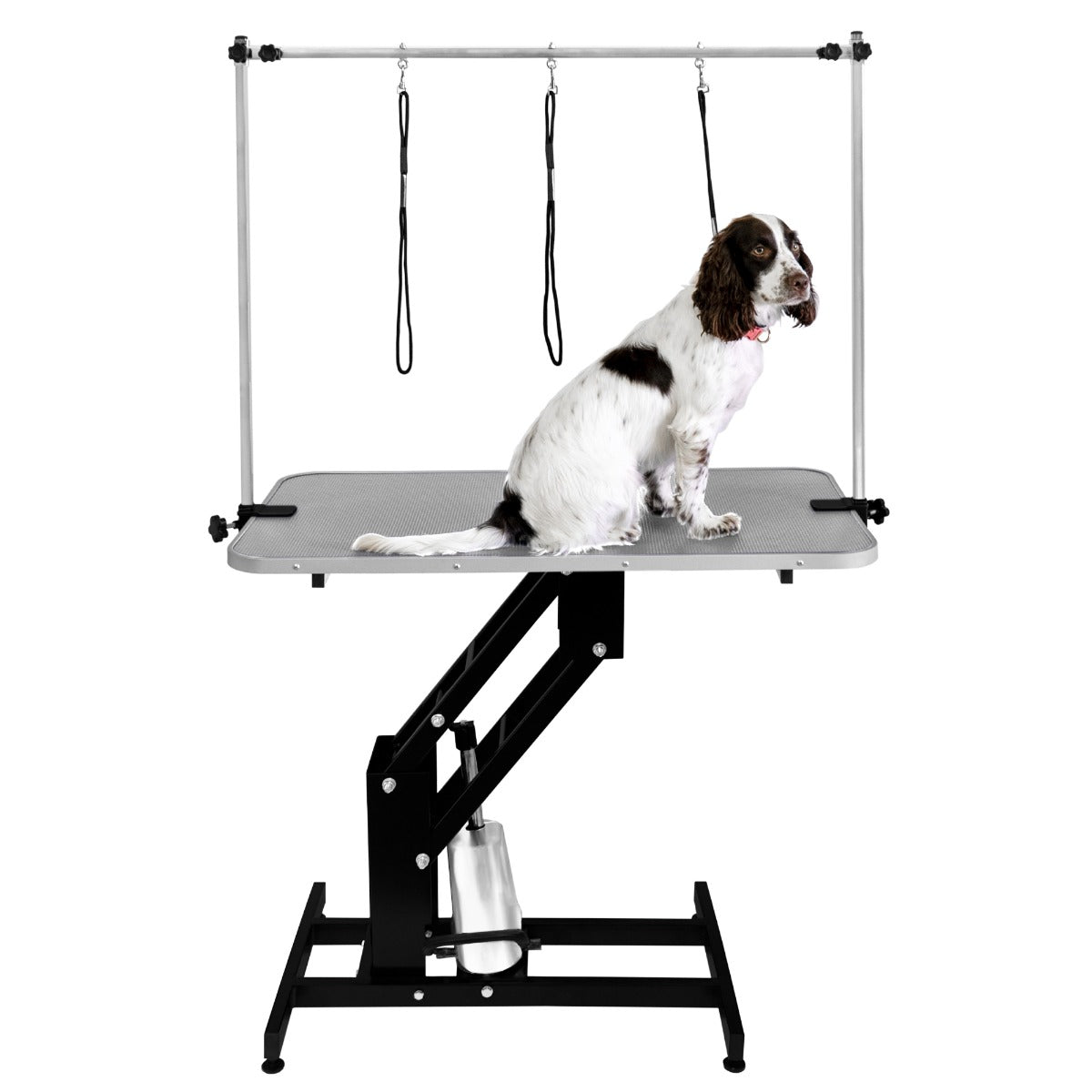 Schwarzer hydraulischer Pflegetisch mit grauer Tischplatte, ausgestattet mit Halterungen für Leinen und einem sitzenden Hund auf der Oberfläche