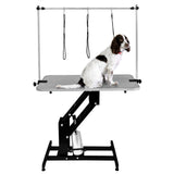 Schwarzer hydraulischer Pflegetisch mit grauer Tischplatte, ausgestattet mit Halterungen für Leinen und einem sitzenden Hund auf der Oberfläche