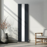 Ovaler Röhrenheizkörper in Anthrazitgrau mit einem integrierten Spiegel, 1800mm x 500mm, elegant und modern, ideal für stilvolle Innenräume