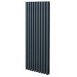 Ovaler Röhrenheizkörper in Anthrazitgrau, 1600mm x 600mm, mit vertikalen Röhren und mattem Finish, ideal für moderne Innenräume