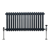 Traditioneller 2-Spalten-Heizkörper in Anthrazitgrau, mit geripptem Design, glänzenden Metallfüßen und Ventil, ideal für stilvolle Heizlösungen