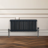 Traditioneller 2-Spalten-Heizkörper in Anthrazitgrau, mit glänzenden Metallfüßen, vor einer hellen Wand und einem Holzfußboden in warmen Tönen