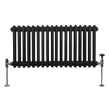 Traditioneller 2-Spalten-Heizkörper in Schwarz, 300 x 832 mm, mit runden Rohren und verchromten Ventilen für eleganten Look und effiziente Wärmeabgabe
