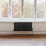 Traditioneller 2-Spalten-Heizkörper in Schwarz, 300 x 832 mm, mit glänzenden Metallfüßen, vor einem großen Fenster mit natürlichem Licht