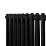 Traditioneller 2-Spalten-Heizkörper in elegantem Schwarz, 300 x 832 mm, mit glatten, runden Rohren und modernem, zeitlosem Design