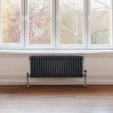 Traditioneller 2-Spalten-Heizkörper in Anthrazitgrau, 300 x 1012 mm, mit glatten, vertikalen Lamellen und stabilen Füßen, ideal für moderne Räume