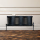 Traditioneller 2-Spalten-Heizkörper in Anthrazitgrau, 300 x 1012 mm, mit glänzenden Metallfüßen, vor einem hellen Wandpaneel und einem Holzfußboden