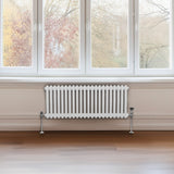 Traditioneller 2-Spalten-Heizkörper in Weiß, 300 x 1012 mm, mit glänzender Oberfläche und eleganten, runden Röhren, ideal für moderne Innenräume
