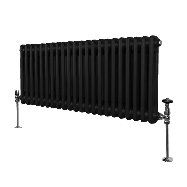 Traditioneller 2-Spalten-Heizkörper in Schwarz, 300 x 1012 mm, mit glänzenden Ventilen und einem eleganten, gerippten Design für effiziente Wärmeabgabe