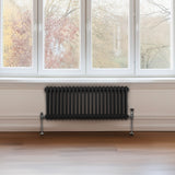 Traditioneller 2-Spalten-Heizkörper in Schwarz, 300 x 1012 mm, mit glänzender Oberfläche und eleganten, runden Rohren, vor einem großen Fenster platziert