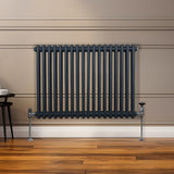 Traditioneller 2-Spalten-Heizkörper in Anthrazitgrau, 600 x 832 mm, mit vertikalen Röhren und glänzenden Metallfüßen, ideal für moderne Innenräume