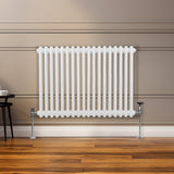 Traditioneller 2-Spalten-Heizkörper in Weiß, 600 x 832 mm, mit glatten, runden Röhren und stabilen Füßen, ideal für moderne Innenräume
