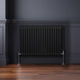 Traditioneller 2-Spalten-Heizkörper in elegantem Schwarz, 600 x 832 mm, mit glatten, vertikalen Lamellen und verchromten Ventilen, ideal für moderne Räume