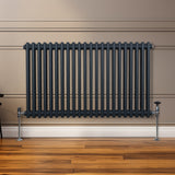 Traditioneller 2-Spalten-Heizkörper in Anthrazitgrau, 600 x 1012 mm, mit glatten, runden Rohren und stabilen Füßen, ideal für moderne Innenräume