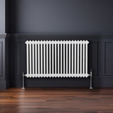 Traditioneller 2-Spalten-Heizkörper in Weiß, 600 x 1012 mm, mit glatten, vertikalen Lamellen und verchromten Füßen, ideal für moderne Innenräume
