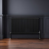 Traditioneller 2-Spalten-Heizkörper in Schwarz, 600 x 1012 mm, mit glänzender Oberfläche und eleganten, verchromten Ventilen, vor einer dunklen Wand