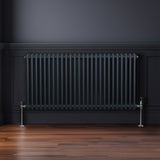 Traditioneller 2-Spalten-Heizkörper in Anthrazitgrau, 600 x 1192 mm, mit glänzenden Metallfüßen und vertikalen Röhren, ideal für moderne Innenräume