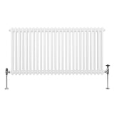 Traditioneller 2-Spalten-Heizkörper in Weiß, 600 x 1192 mm, mit glatter Oberfläche und stabilen Metallfüßen für effiziente Wärmeverteilung