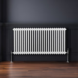 Traditioneller 2-Spalten-Heizkörper in Weiß, 600 x 1192 mm, mit vertikalen Lamellen und glänzenden Füßen, ideal für moderne Innenräume