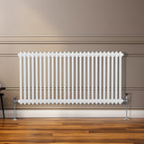 Traditioneller 2-Spalten-Heizkörper in Weiß, 600 x 1192 mm, mit vertikalen Lamellen und glänzender Oberfläche, ideal für moderne Innenräume