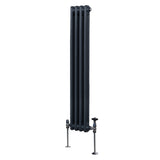 Traditioneller 2-Spalten-Heizkörper in Anthrazitgrau, 1500 x 202 mm, mit glatter, glänzender Oberfläche und stabilen Füßen für effiziente Wärmeabgabe