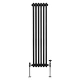 Traditioneller 2-Spalten-Heizkörper in elegantem Schwarz, 1500 x 292 mm, mit vertikalen Röhren und verchromten Ventilen für modernen Komfort