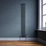 Traditioneller 2-Spalten-Heizkörper in Anthrazitgrau, 1800 x 202 mm, mit glatten, vertikalen Röhren und eleganter, minimalistischer Form an einer Wand