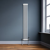Traditioneller 2-Spalten-Heizkörper in Weiß, 1800 x 202 mm, mit glatten, vertikalen Lamellen und verchromten Ventilen, ideal für moderne Räume